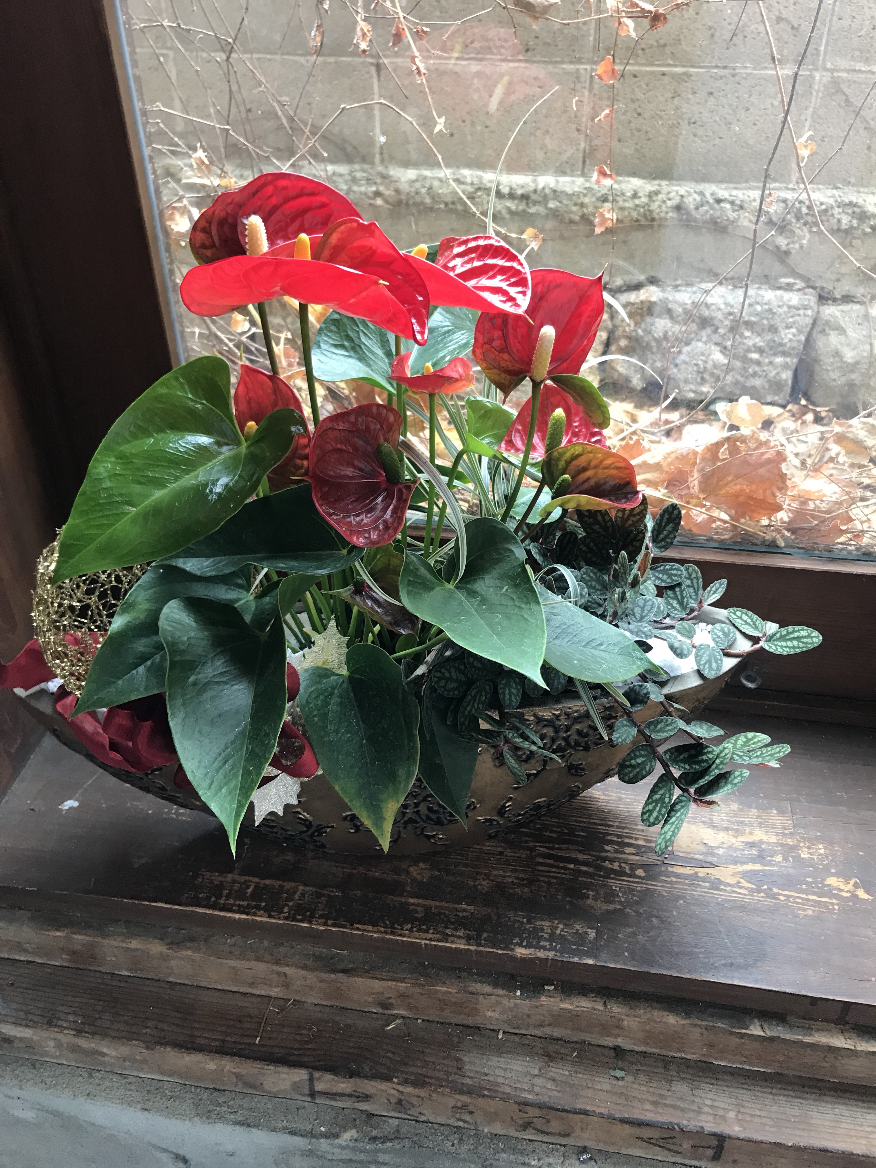 洋蘭や観葉植物の寄せ植えでお正月アレンジ グレースマーケット総合サイト カフェスタイルhazuki